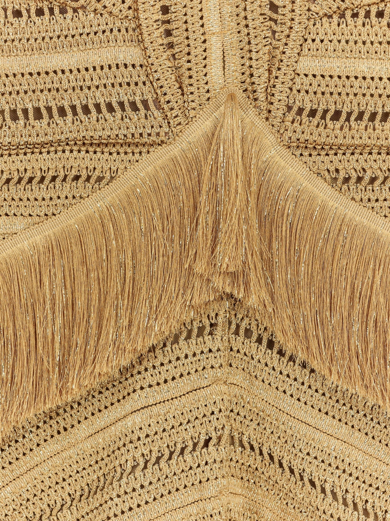 Pampas mini dress with embroidery and fringes - Image 4